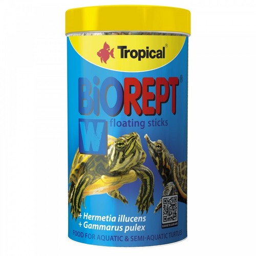 Tropical food for - tropical, aquatic