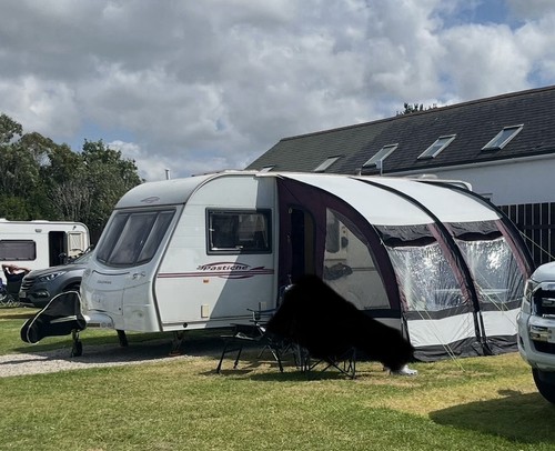 Coachman pastiche 530 - coachman,