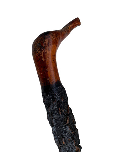 Authentic fat irish blackthorn - authentic,