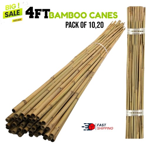 4ft bamboo canes - canes, duty