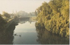 6x4 Continental size printed