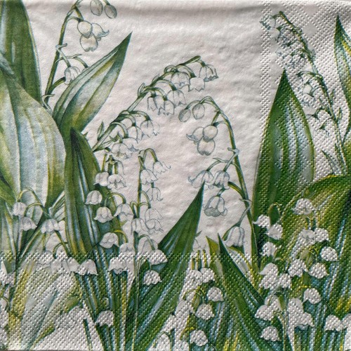 Luncheon paper napkins for - 2,