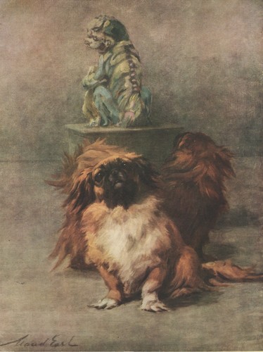 Pekingese vintage 1934 dog art - 1934,