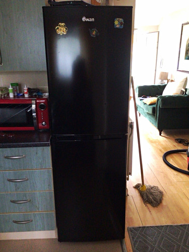 Swan black freestanding - swan, fridge