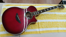 YAMAHA APX1000