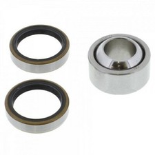 Lower Rear Shock Bearing Kit