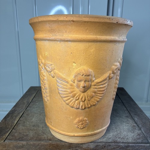 Vintage terracotta plant - terracotta, pot