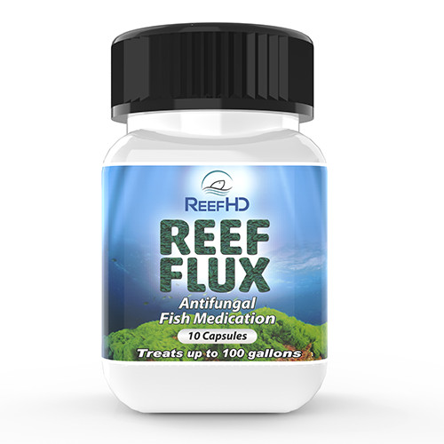 Reefhd reef flux - reefhd,