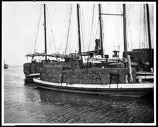 Barges Loaded With Hay On A Courtland River Port Destined For The  - Old Photo