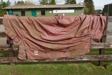 Weatherbeeta Arian combo neck