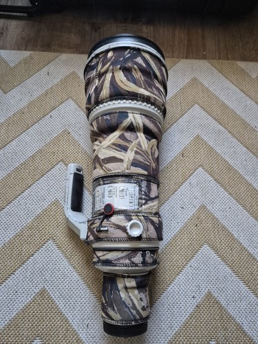 Canon 600mm l is usm - f/4,