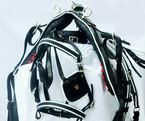 Nylon webbing cart driving - nylon,
