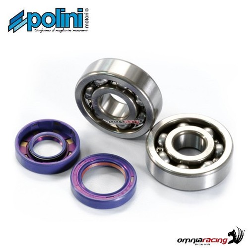 Polini crankshaft revision kit