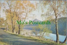 Scotland Postcard - Loch Rannoch and Schiehallion, Perthshire  RR19895