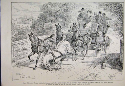 Original old antique print - old,