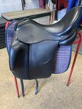 albion platinum dressage