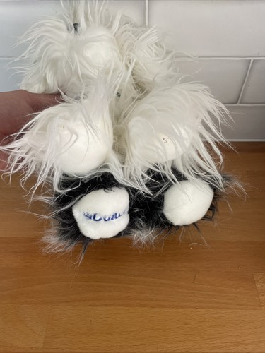 Dulux puppy dog collar - dulux, dog,