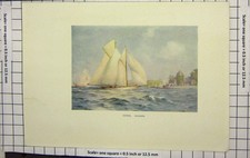 Original Old Antique Print