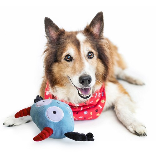 Pet supplies dog - supplies,