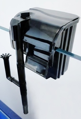 External aquarium fish tank - fish,