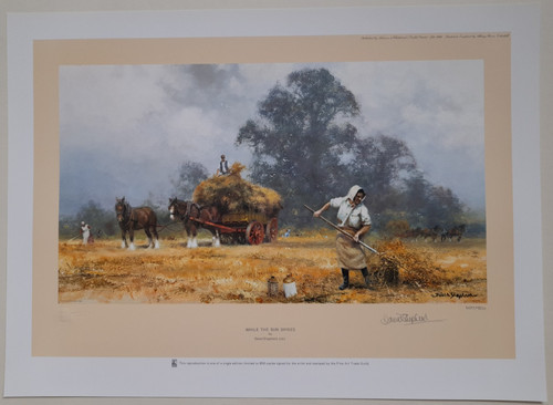 David shepherd while - shepherd, the