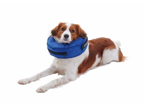 Buster inflatable nylon dog - buster,