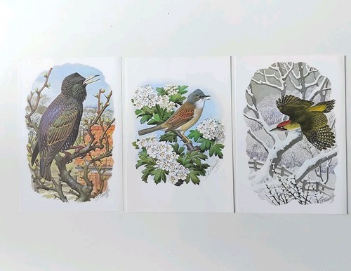 Bird art prints - prints, f