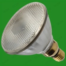2x 100W Halogen Par38