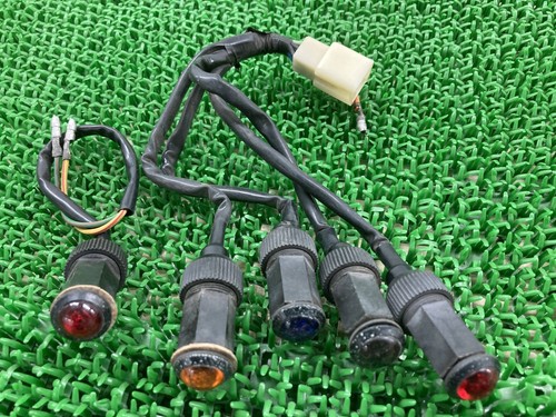 Rg250 gamma indicator lamp - indicator,