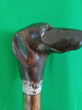 Sporting Dog Pointer Shooting