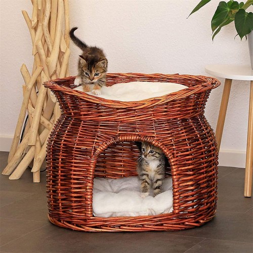 Cat beds indoor - cat, kitten