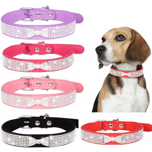 Dog collar suede leather - dog,