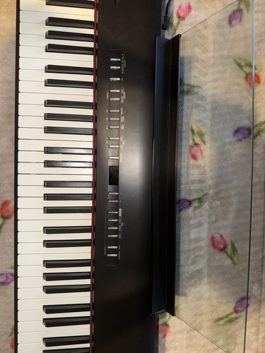 Roland portable digital - roland,