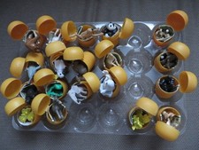 Kinder Surprise Natoons Nearly