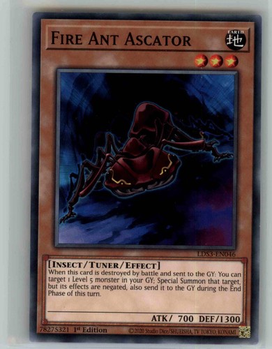 Fire ant ascator - ant,