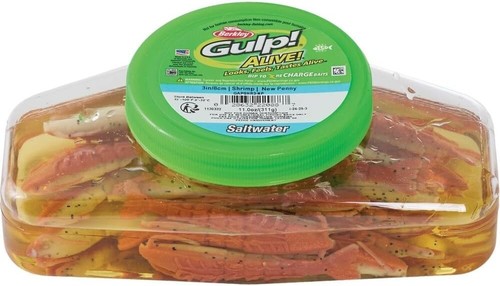 Gulp alive saltwater shrimp - alive!,