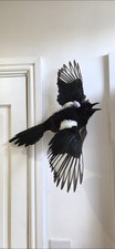Magpie Wall Mounted Display (