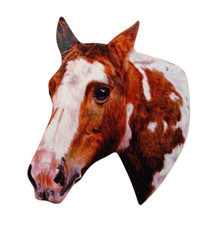 Piebald Horse Plaque - Horse