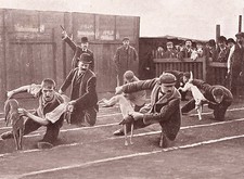 WHIPPET RACING WAITING TO