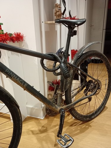 Pinnacle road bike - pinnacle,