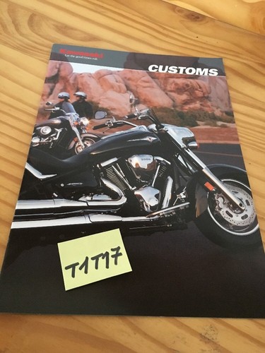 Kawasaki custom 800 1600 - custom,