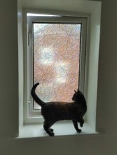 FABLON COLOUR FROSTED PRIVACY