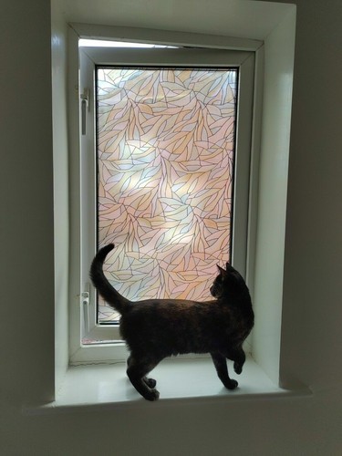 Fablon colour frosted privacy - fablon,