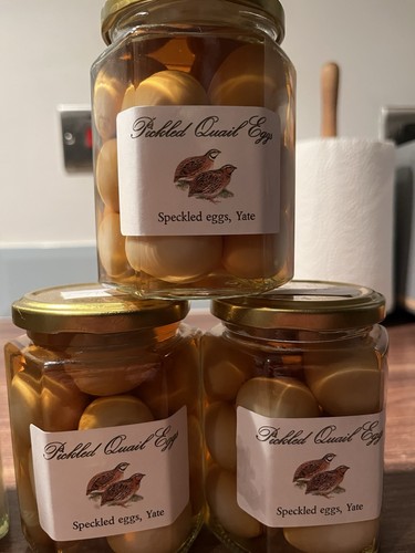 Pickled quail eggs malt - eggs, in