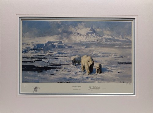 Ice wilderness - ice,