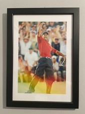 Tiger Woods - Golf - Framed A4