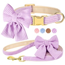 Fancy velvet dog - velvet, collar