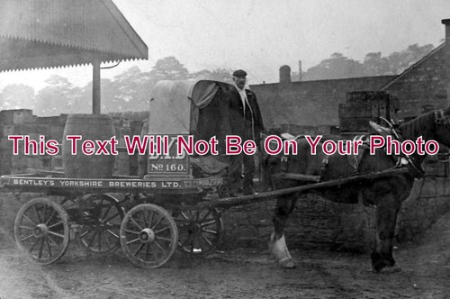852 horse dray cart - yo,
