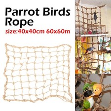 Birds climbing training rope - birds,