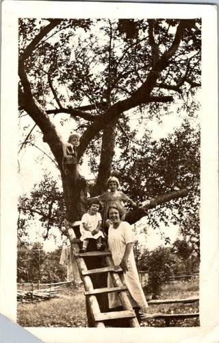 1920 family photograph garden - 1920,